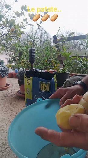 7.8K views · 112 reactions | Con le bucce delle patate possiamo...