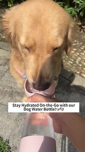 🐾💧 Keep your furry friend refreshed during your outdoor adventures with our convenient dog water bottle. 🐶$13.03 with free shipping! 🥰Shop Now👉🏻: https://dhgate.onelink.me/Hwh7/plb3fxky 🔥DHgate 19th Anniversary Crazy Sale:：https://t.ly/GmZji #summer #summertime #woman #beauty #ootd #ootdfashion #style #story #storytelling #reelsfb #reels #reelsinstagram #barbecue #bbq #grill #cooking #vegetable #outdoor #picnic #aniversary #aniversarygift #celebration #sale #sales | DHgate