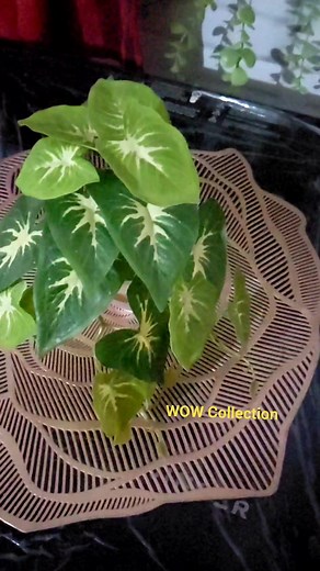 6.6K views · 73 reactions | Washing machine Corner decoration華 #decor #showpiece #decoration #moneyplant | WOW Collection | Facebook