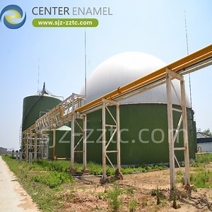 [Hot Item] Anaerobic Digestion: Creating Value From Organic Waste for Biogas Projects