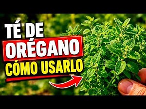 What Is OREGANO TEA Used For? 🌿 How to DRINK IT + REAL Benefits | Plants and Gardening