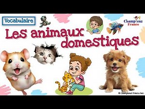 Animaux domestiques🐶 I Domestic Animals French Vocabulary 🐈 #learnfrench #frenchforkids