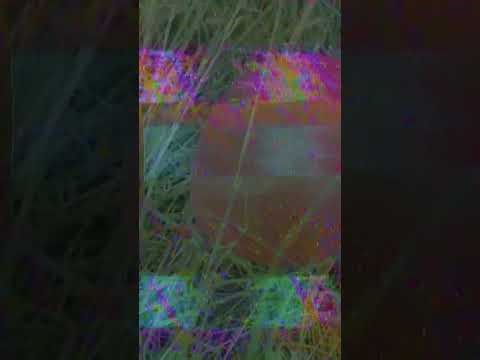 Master of None (Cover)