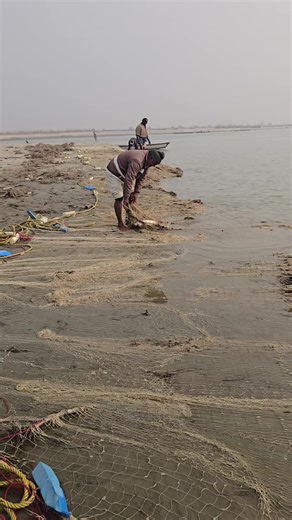 Fish hunting 2 on Instagram: "Big fish hunting from river Ganga #fishhunting2 #machlipakadn"