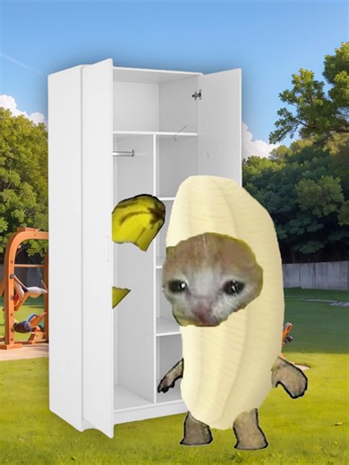 Banana Cat's Costume Adventure in the Water