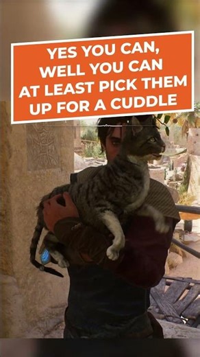 Can you pet the Cat in Assassin's Creed Mirage?!