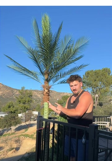 Enhance Your Deck with Artificial Palm Trees
