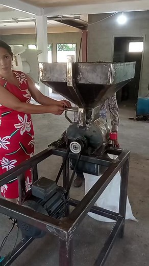 molino de martillos para molienda de granos