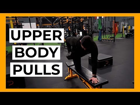 Upper Body Pull Exercises for Baseball Players | Driveline Baseball