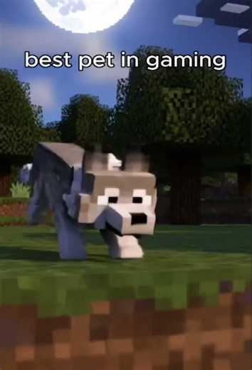 My Wolf Just Did The Impossible 🐺🐺