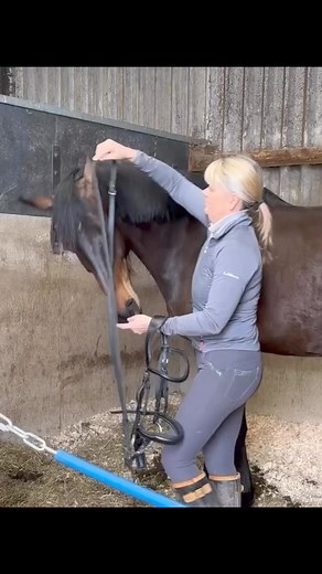 3.6K views · 19 reactions | Incredible progress and update from the...