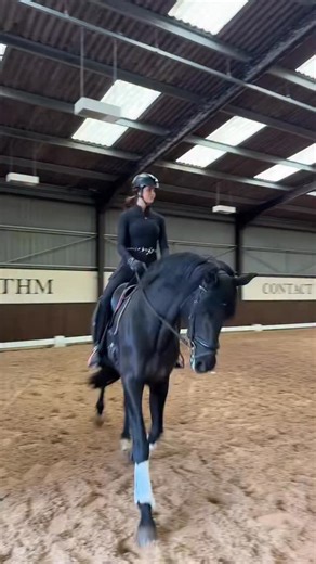 Black Heart Equestrian on Instagram: "when ur non horsey friends watch you ride 🐴"