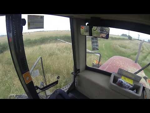 MacDon m155 & 20ft draper front moving fields.