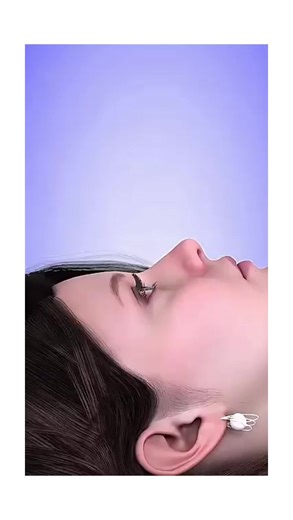 Understanding Human Body Anatomy for Medical Students