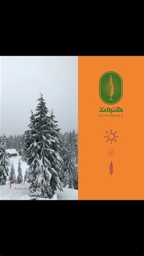 From Concept to Execution: Visual Identity Design and Web Development