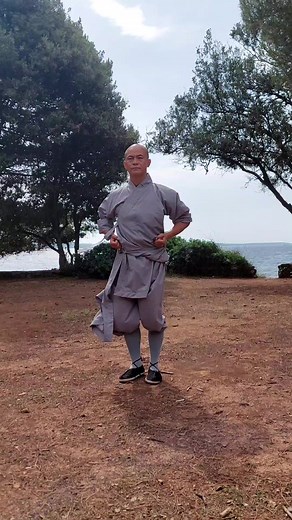 Tai Chi and Shaolin trained side-by-side complement each other perfectly. Whilst Shaolin makes the body strong and flexible, Tai Chi teaches how to soften that power, reach equilibrium in the body, and create a more well-rounded martial arts practitioner. Remember that martial arts training should not be about how many skills you can learn but how many skills you can master. It is only through slow and thorough study of each art that state of skills can be achieved 🙏 #shaolin #shaolinkungfu #sh