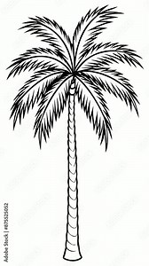 Simple Palm Tree Line Drawing Animation