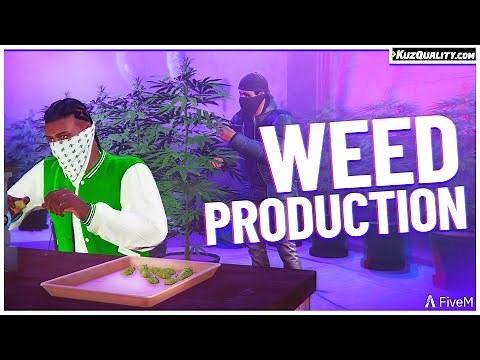 Weed Production | FiveM Script [ESX, QBCore, QBox] | KuzQuality