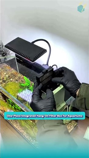 One-Piece Integrated Hang-On Filter Box for Aquariums