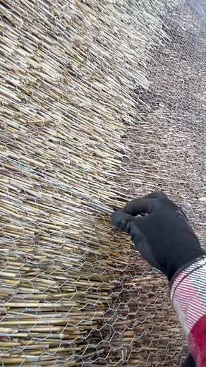 Dressing and wiring #thethatchingguy #fyp #fypシ #asmr #satisfying #foryou | The Thatching Guy