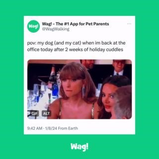 Someone's gotta pay for these walkies with Wag!.  Book now: https://wagwalking.com/app | Wag | Facebook