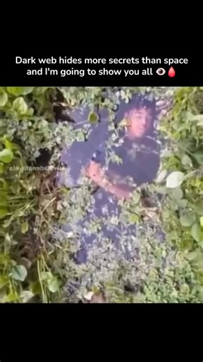 @shootingscrew on Instagram: "Just @shootingscrew 日本利用压电瓷砖将脚步转化为电能。这些瓷砖捕捉来自你脚步的动能。当你行走时，你的重量和动作会对瓷砖产生压力。瓷砖会轻微弯曲，从而产生机械应力。瓷砖内部的压电材料将这种应力转化为电能。每一步都会产生少量电荷，而数百万步结合在一起就能产生足够的电力来驱动 LED 灯、数字显示屏和传感器。在像涩谷车站这样繁忙的地方，每天大约有 240 万个脚步为这一系统作出贡献。这些电能可以被储存或立即使用，从而减少对传统电力来源的依赖，并支持可持续的城市基础设施。这种方法将日常运动转化为实用的可再生能源 #日本 #知识 #事实 你知道吗 推荐 科技 创新 历史 技术 实验 热门"