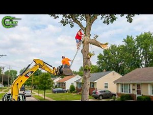 Idiots With Chainsaws: Tree Cutting Fails | Extreme Dangerous Logging Truck Fails #44