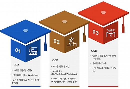 DB 자격증 총정리 - DAP/DAsP, SQLP/SQLD, ADP/ADsP, OCA/OCP/OCM