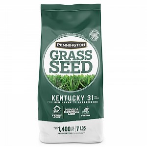 Pennington Kentucky 31 7-lb Tall Fescue Grass Seed Lowes.com