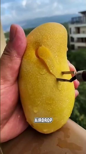 Have you ever become a school legend just for knowing the Wi-Fi password? #storytelling