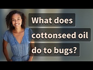 What does cottonseed oil do to bugs?