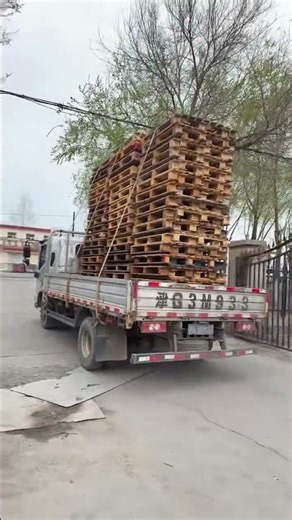 Wishing all bosses a prosperous business in the Year of the Horse. #