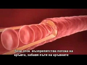 Aloe Vera, www.nwabulgaria.info