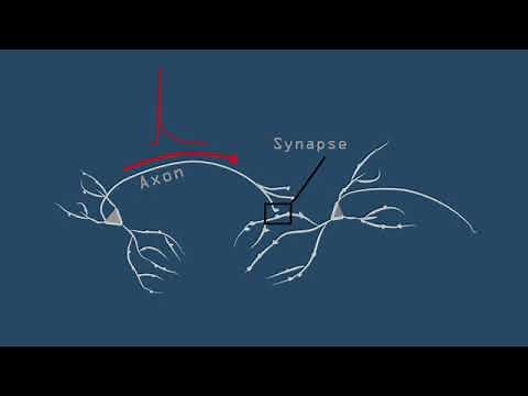 What Memories Are Made Of