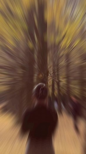 Lost in Korea #myhuyendaily #learnontikok #ancungtiktok