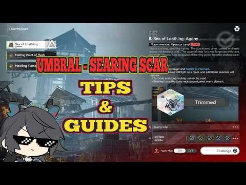 [Umbral Monument] - [Searing Scars] AGONY TIPS & GUIDES