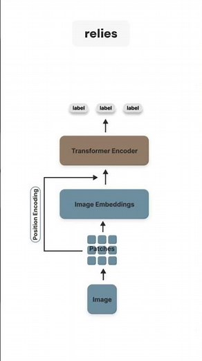 Vision Transformer (ViT) vs. Convolution Neural Network (CNN) #ai #cnn #transformers #computervision