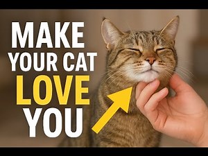 7 Must-Do Acts That Make Your Cat Love You Forever (Scientifically Proven Bonding Tips)