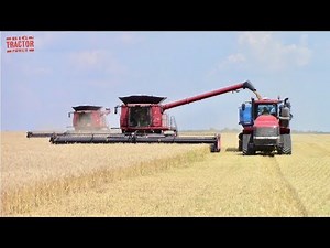 CASE IH Wheat Harvest