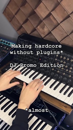 A lot of people commented on my previous video that it sounded like @djpromonl. That’s 100% true. He used pretty much exactly this setup back in the Promo Files days. #hardcoretechno #shermanfilterbank #earlyhardcore #synthesizer #sounddesign | Starving Insect