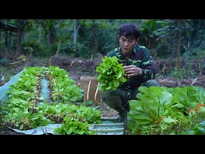From Garden to Market: Selling Fresh Vegetables and Earning Money