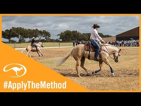 Training on a Budget: Incorporating the Cloverleaf Exercise