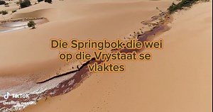 Worldcup Album Nou beskikbaar