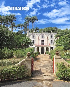 Paradise is calling and we’re ready to set sail 🛳️✨ Next stop: Barbados beaches and island dreams 🌴 Discover your Barbados cruise today > https://www.tui.co.uk/h/cruise/caribbean/bridgetown-port/ | Marella Cruises