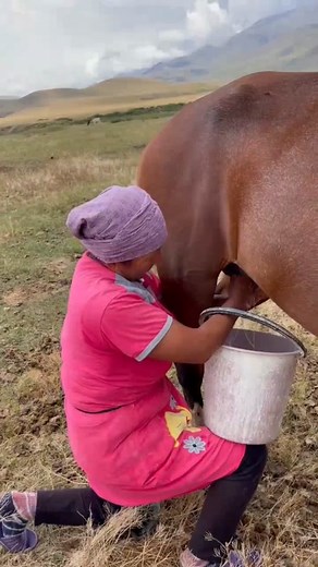 Rural Cuisine ⛎ on TikTok