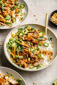 Spring Roll-Inspired Grilled Chicken Salad - The Defined Dish