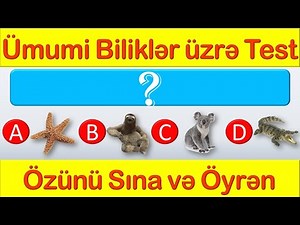 Ümumi biliklər üzrə test - Qarışıq Mövzu