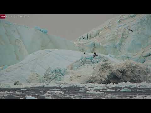 Apr 9, 2025: Giant Icebergs on the move in Ilulissat, Greenland