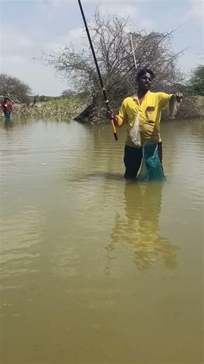மக்களைப் போட்டு வெளுத்து ஆச்சு மக்களே #fishing #fish #video