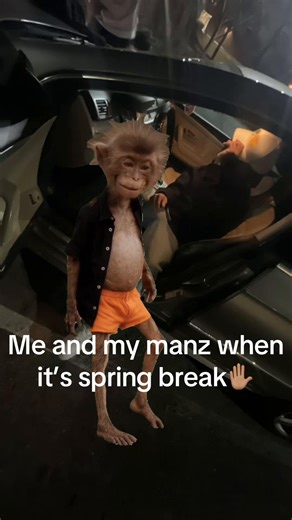 Spring Break Memes: Embrace the Fun with Spiderman